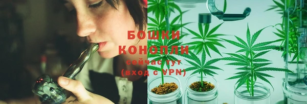 прущие крисы Богданович