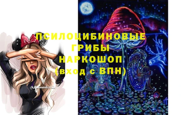 молекула духа Белокуриха