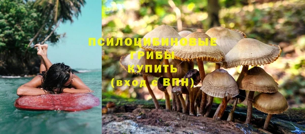 молекула духа Белокуриха