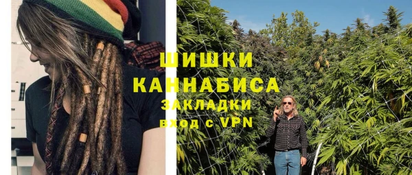 молекула духа Белокуриха