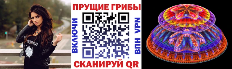 Галлюциногенные грибы ЛСД Чудово